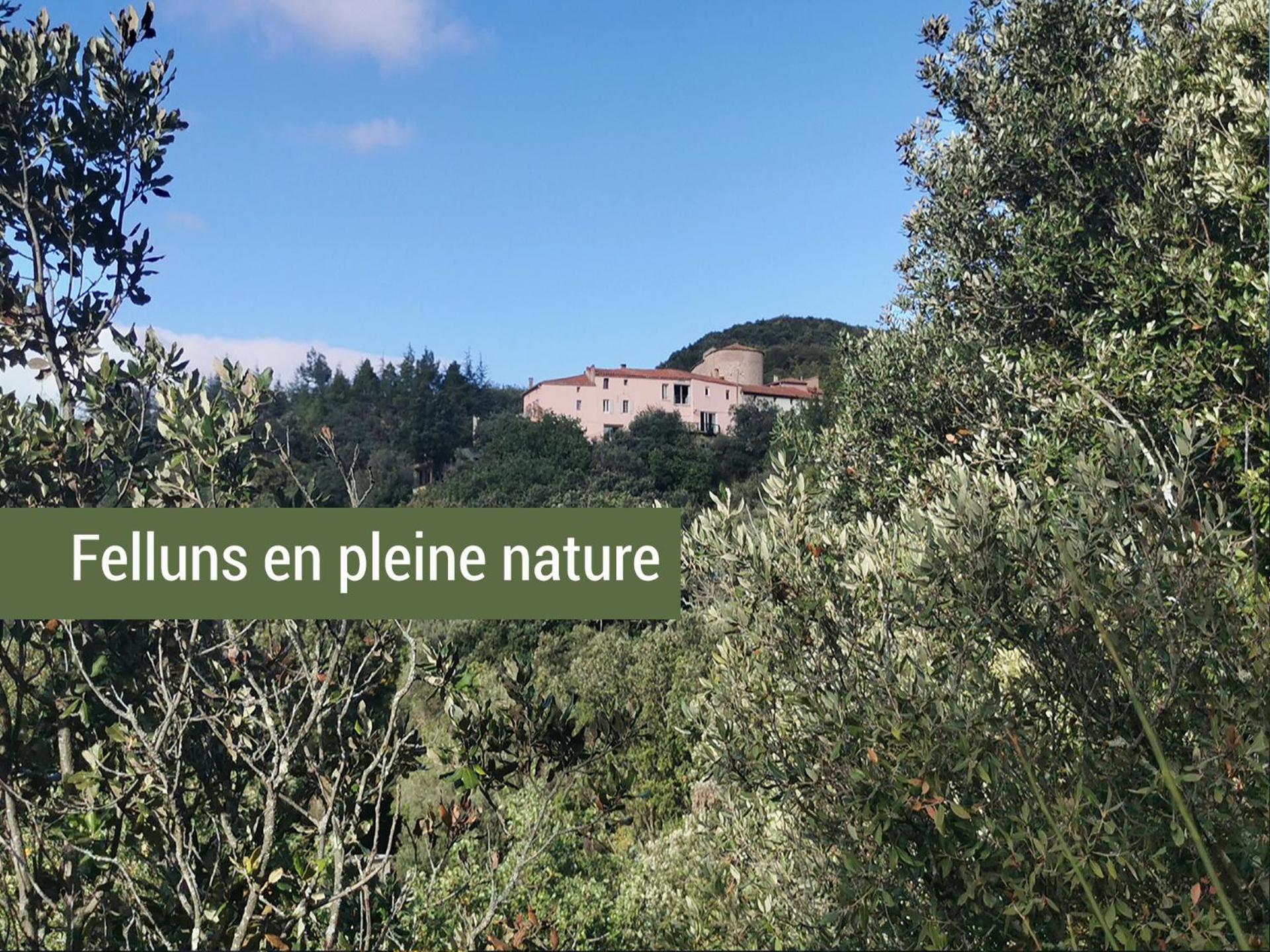Pyrenees Mon Amour Felluns Exterior foto