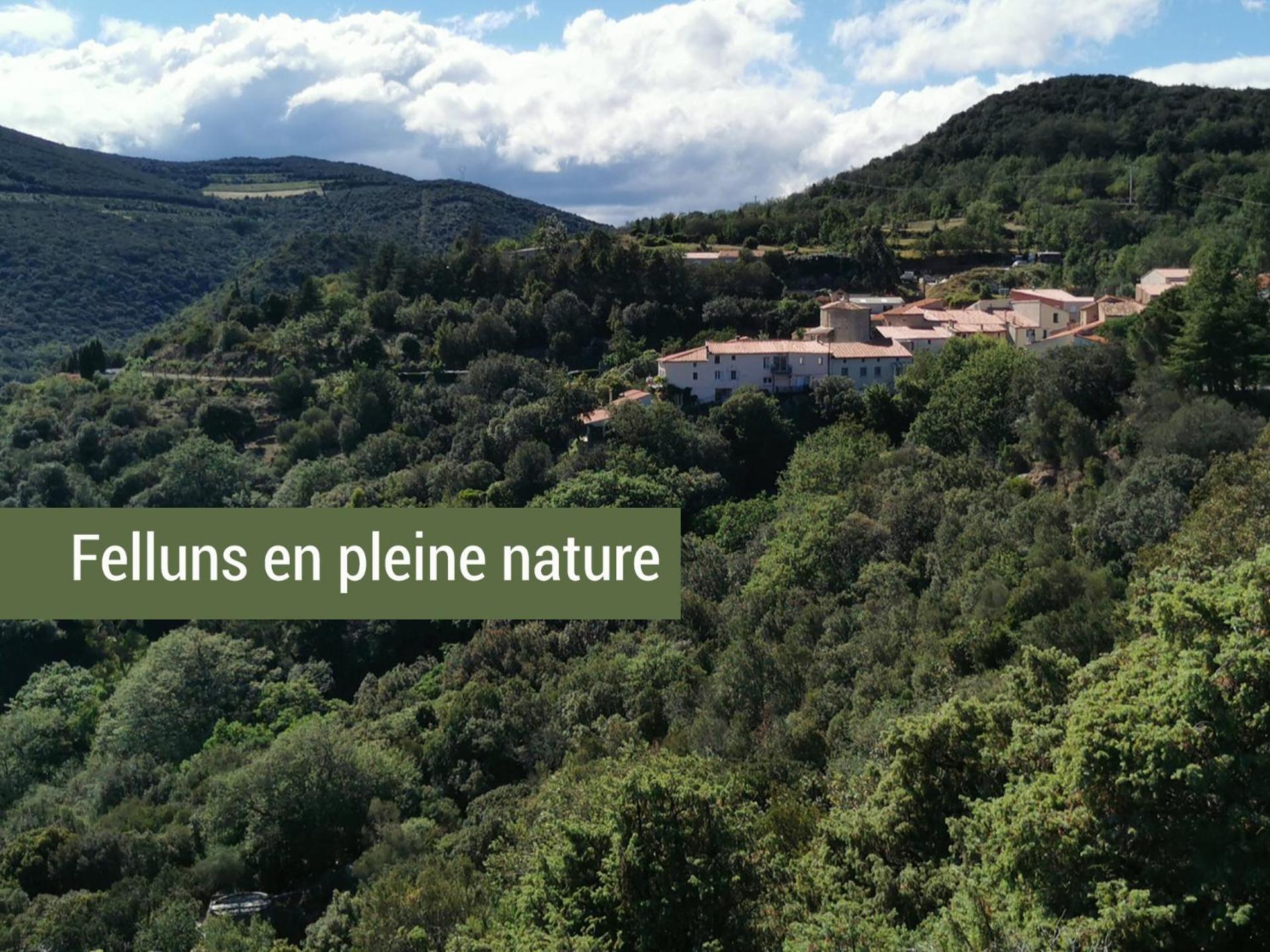 Pyrenees Mon Amour Felluns Exterior foto